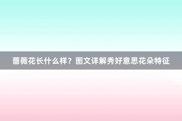 蔷薇花长什么样？图文详解秀好意思花朵特征